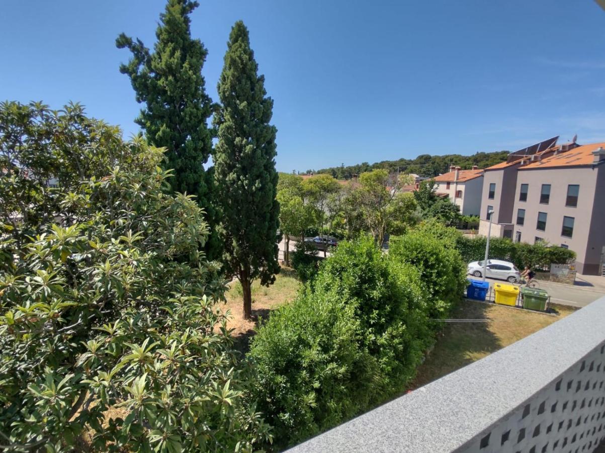 Modern Ana Appartement
